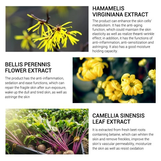 LANBENA Hair Kong 15ml