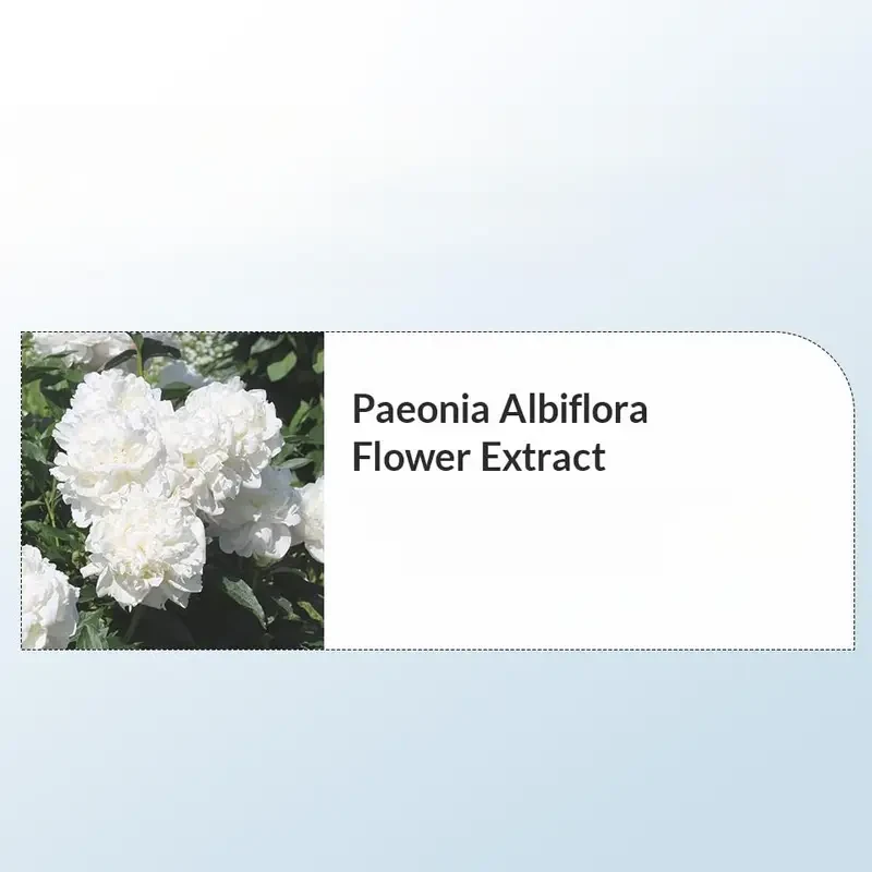 Dr. Althea 147 Hydrating Facial Cream with Hyaluronic Acid & Ceramide