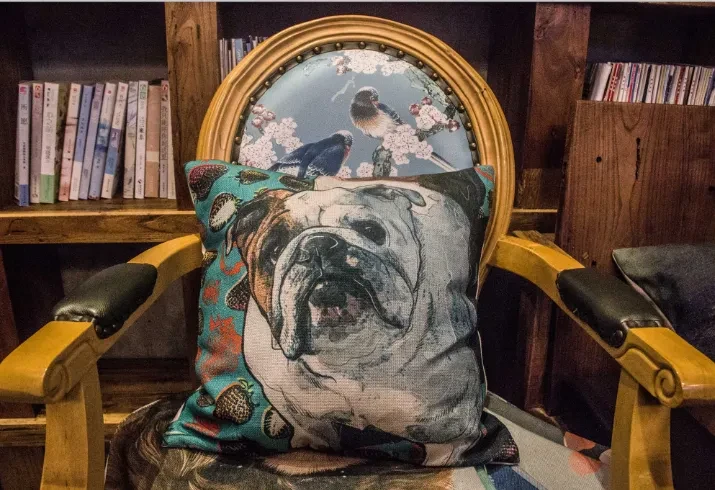 European and American style pillow