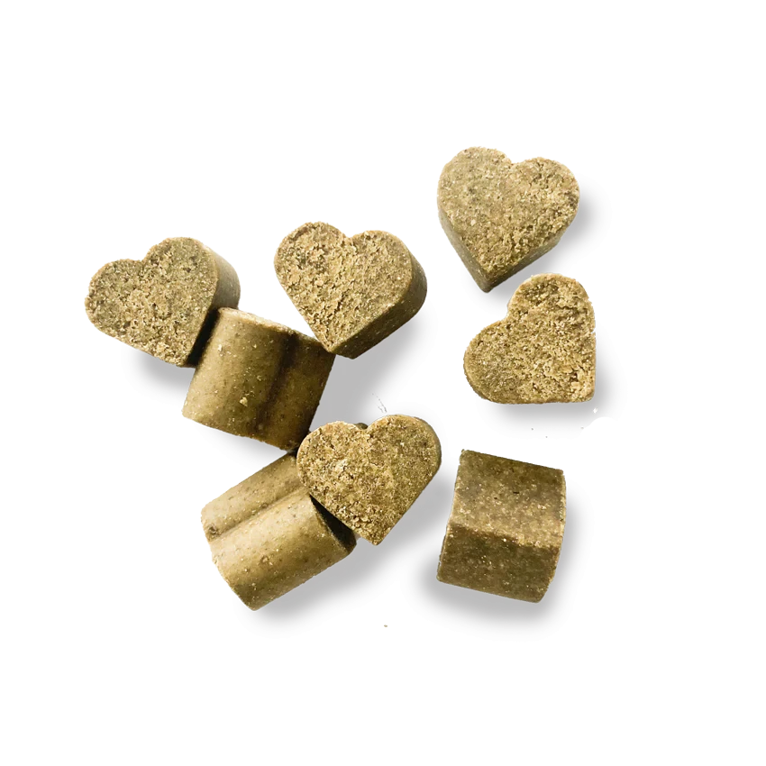 Probiotic Soft Chews for dogs