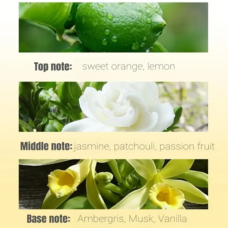 ROYAL Golden Men's Perfume with Floral and Fruity Notes