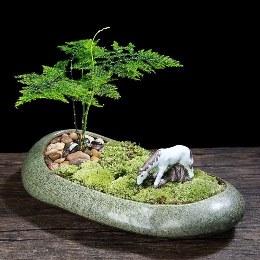 Succulent Flower Pot Large Diameter Pot Simple Home Ceramic Large