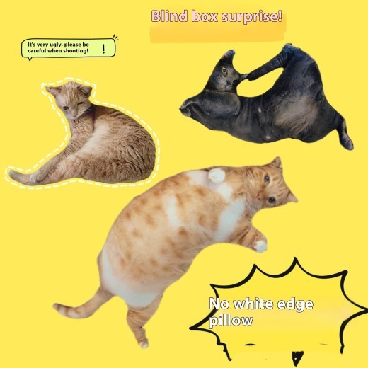 Customized Pet Pillows Without White Edges