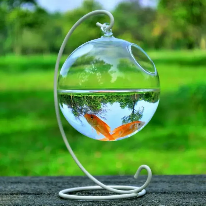 Plastic Fish Bowl