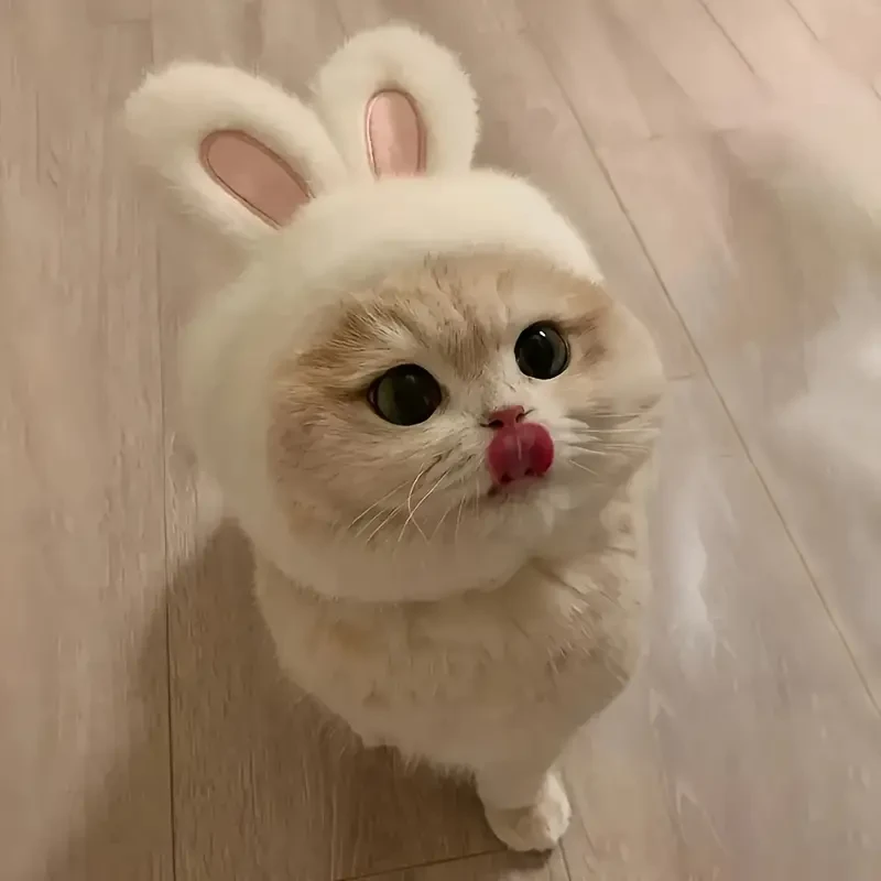 Bunny Ears Cat Hat - Easter Themed Pet Costume