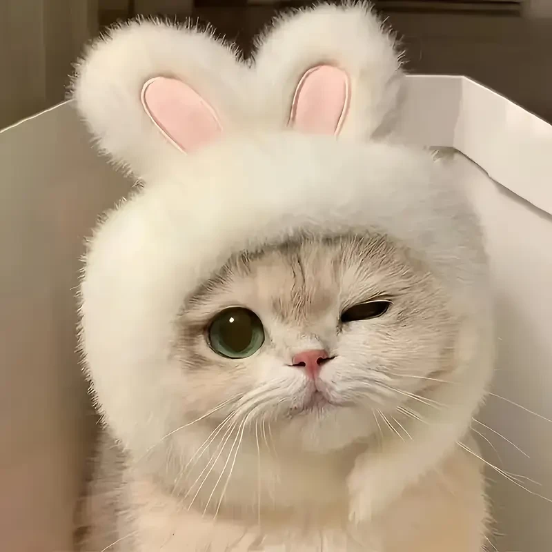 Bunny Ears Cat Hat - Easter Themed Pet Costume