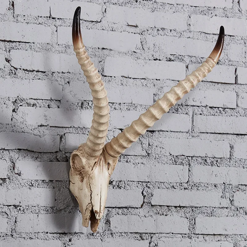 Cow Skull