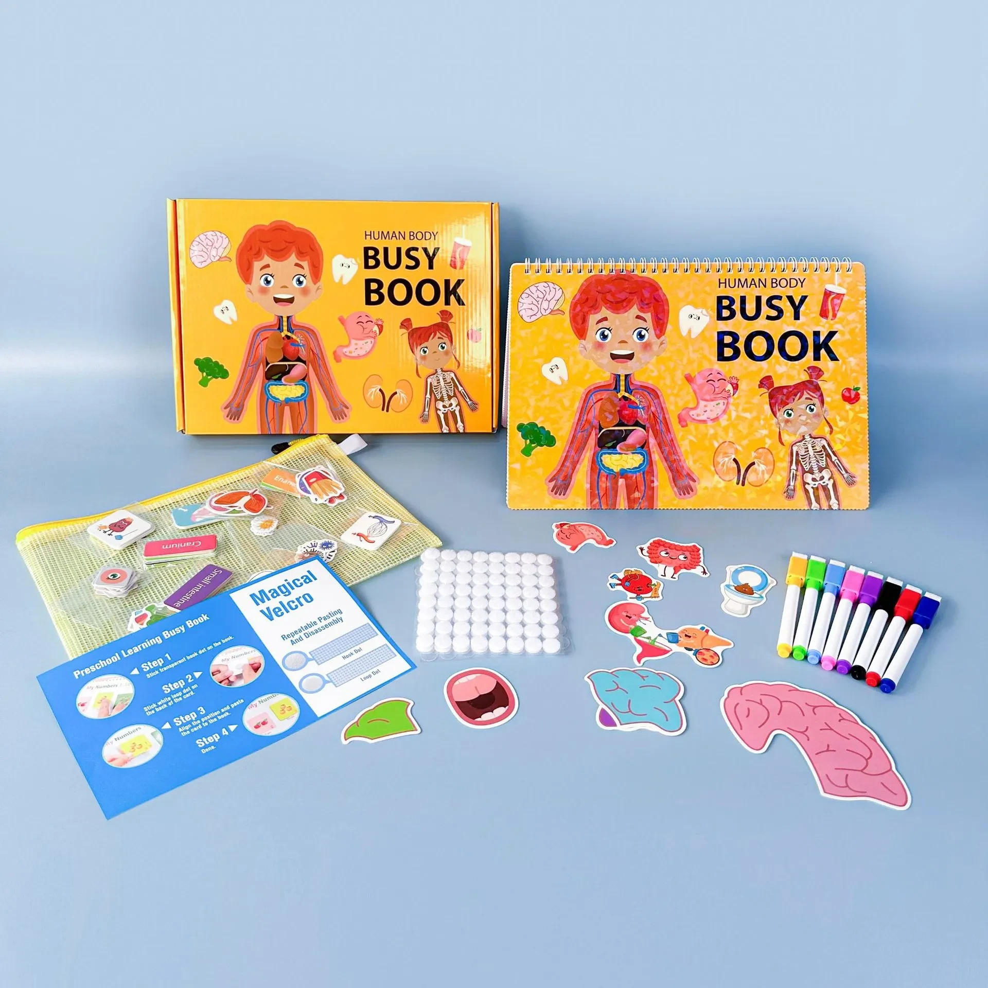 Children's Busy Book Preschool Education Body Structure Early Cognitive Education Quiet Book