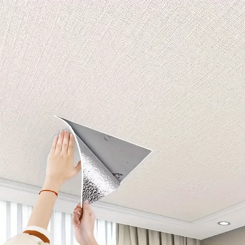 Ceiling Decals