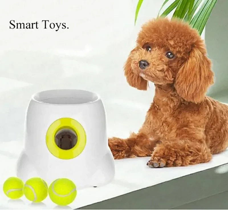 Self Propelled Dog Ball