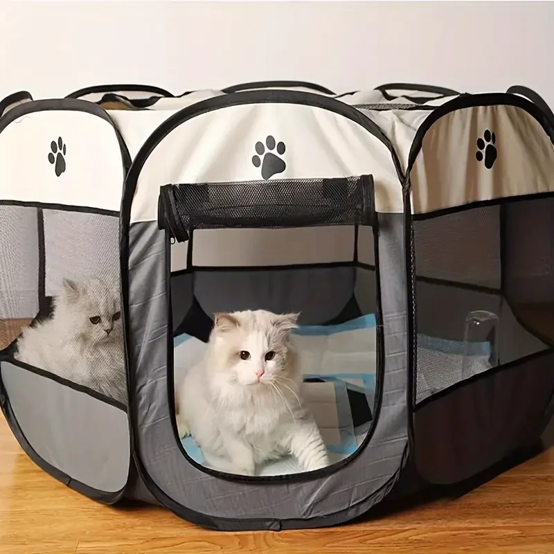 Outdoor Cat Enclosure