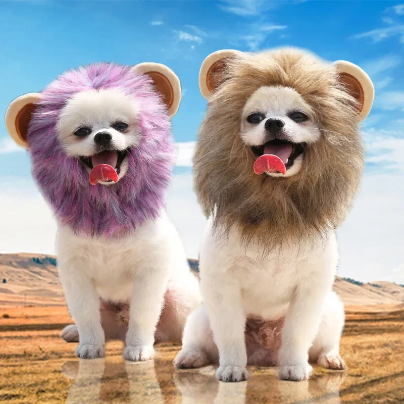 Dog Chinese Lion Costume