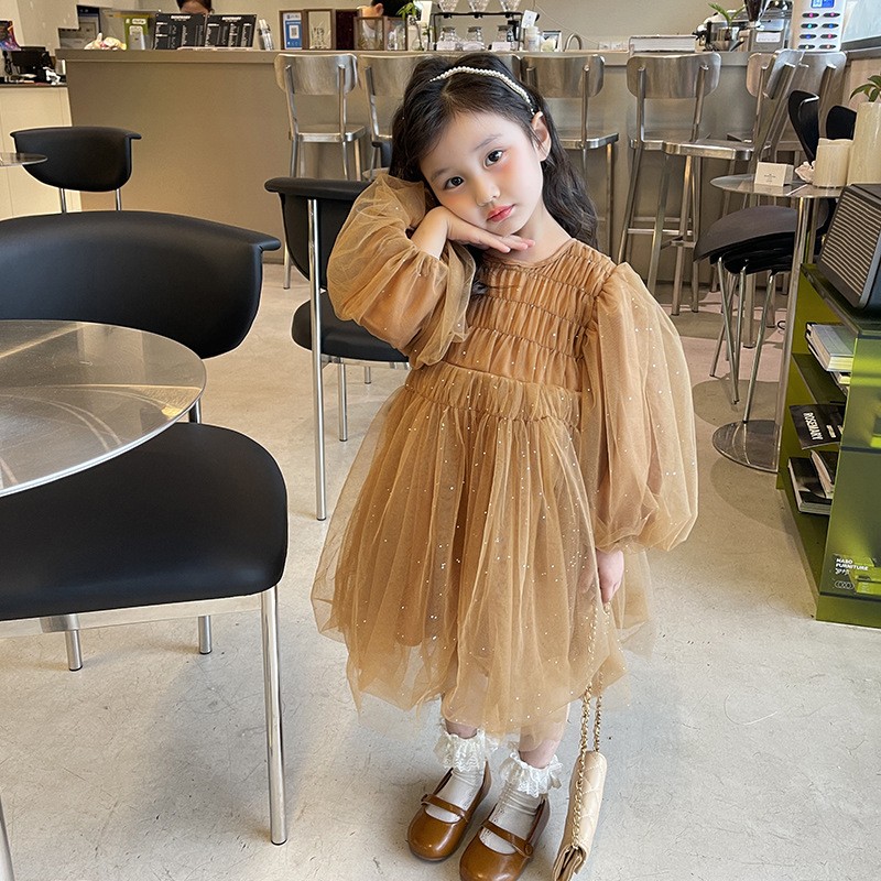 Little Girl Fashionable Stylish Mesh Dress