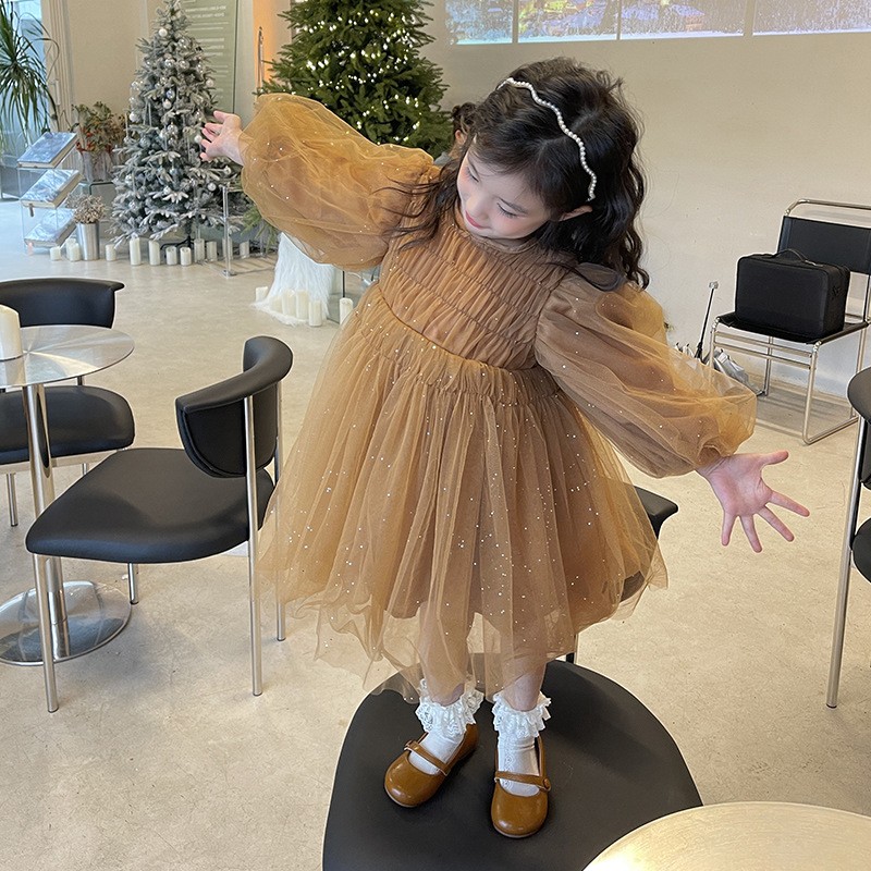 Little Girl Fashionable Stylish Mesh Dress