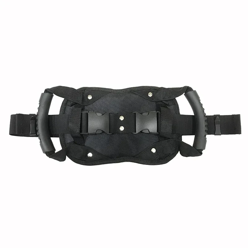 Motorcycle Pillion Harness