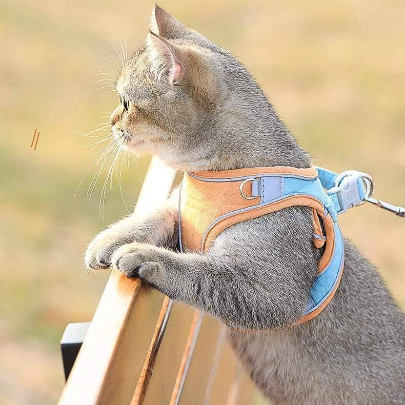 Outdoor Cat Harness & Leash Set