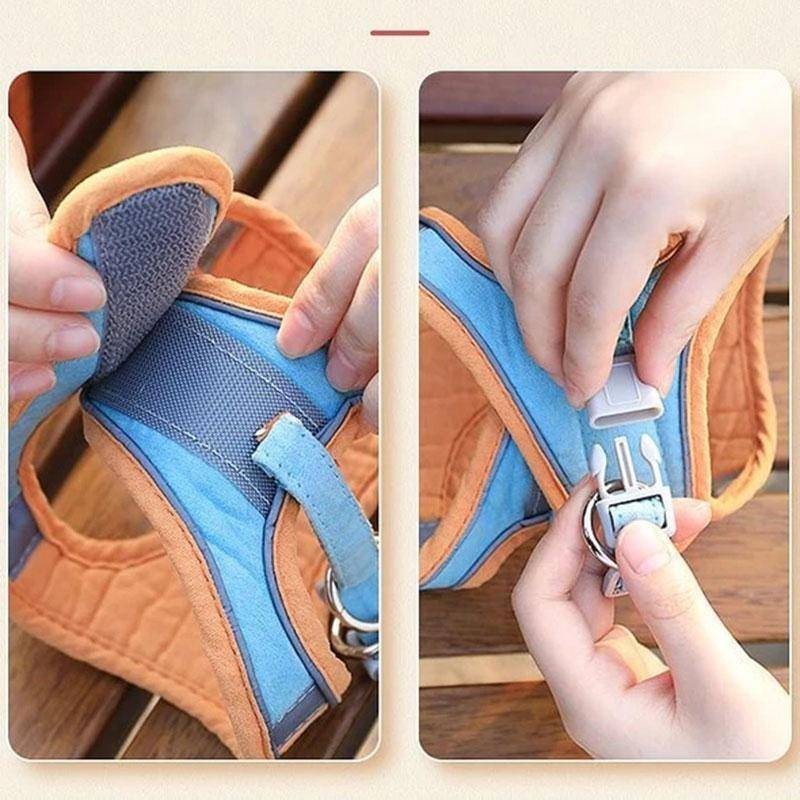 Outdoor Cat Harness & Leash Set