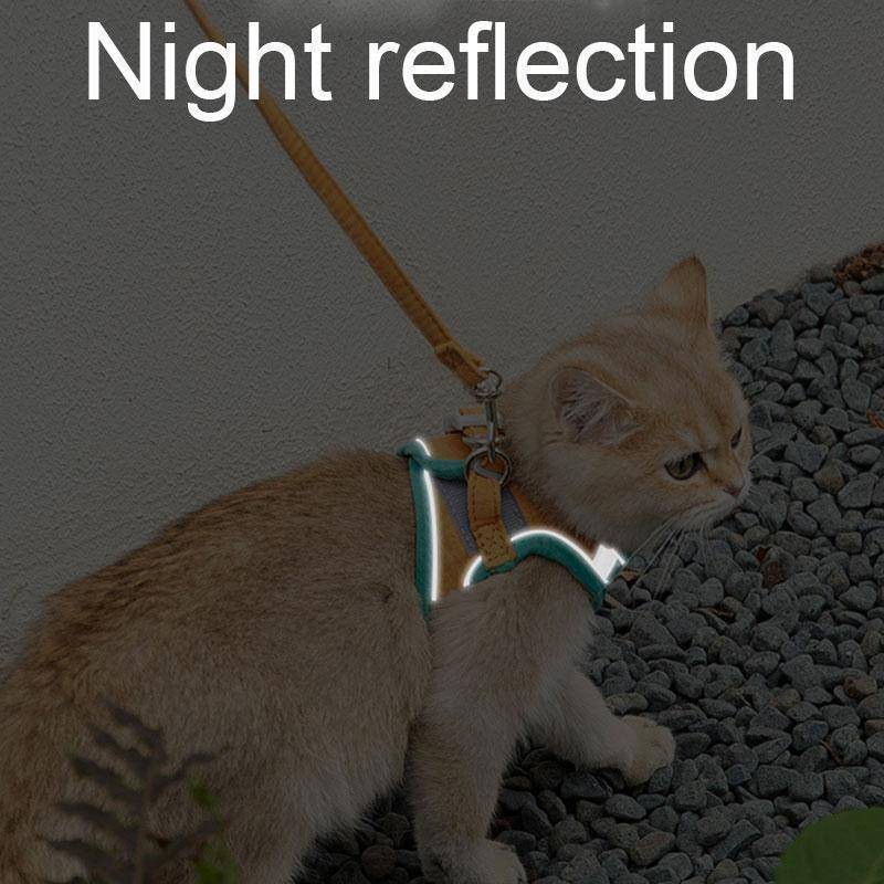 Outdoor Cat Harness & Leash Set
