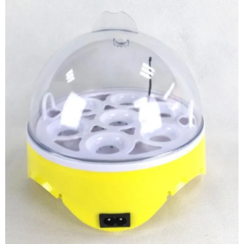 Egg Incubator