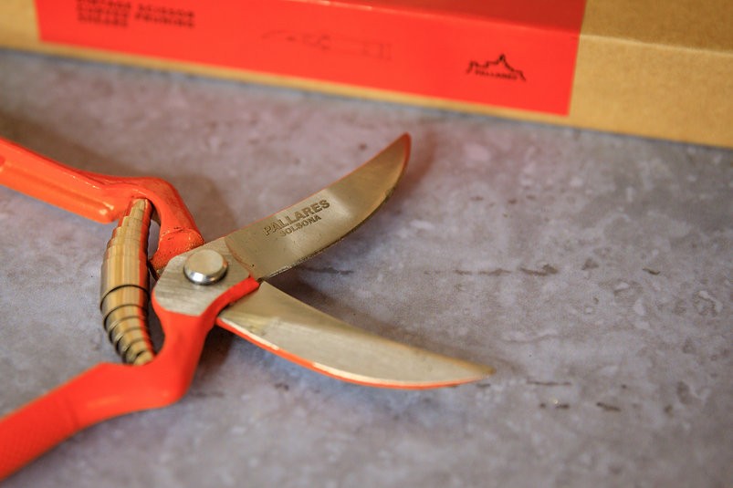 Pallares Pruning Shears