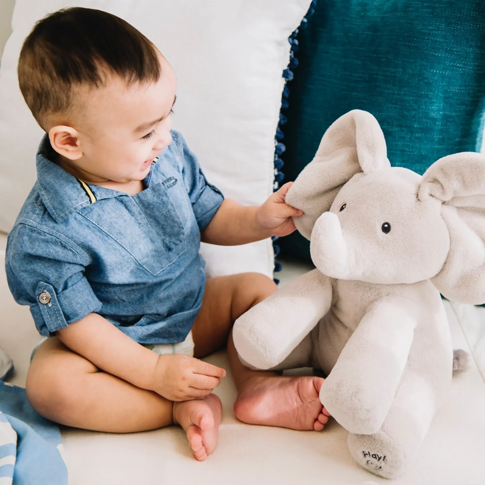 Elephant Moving Ears