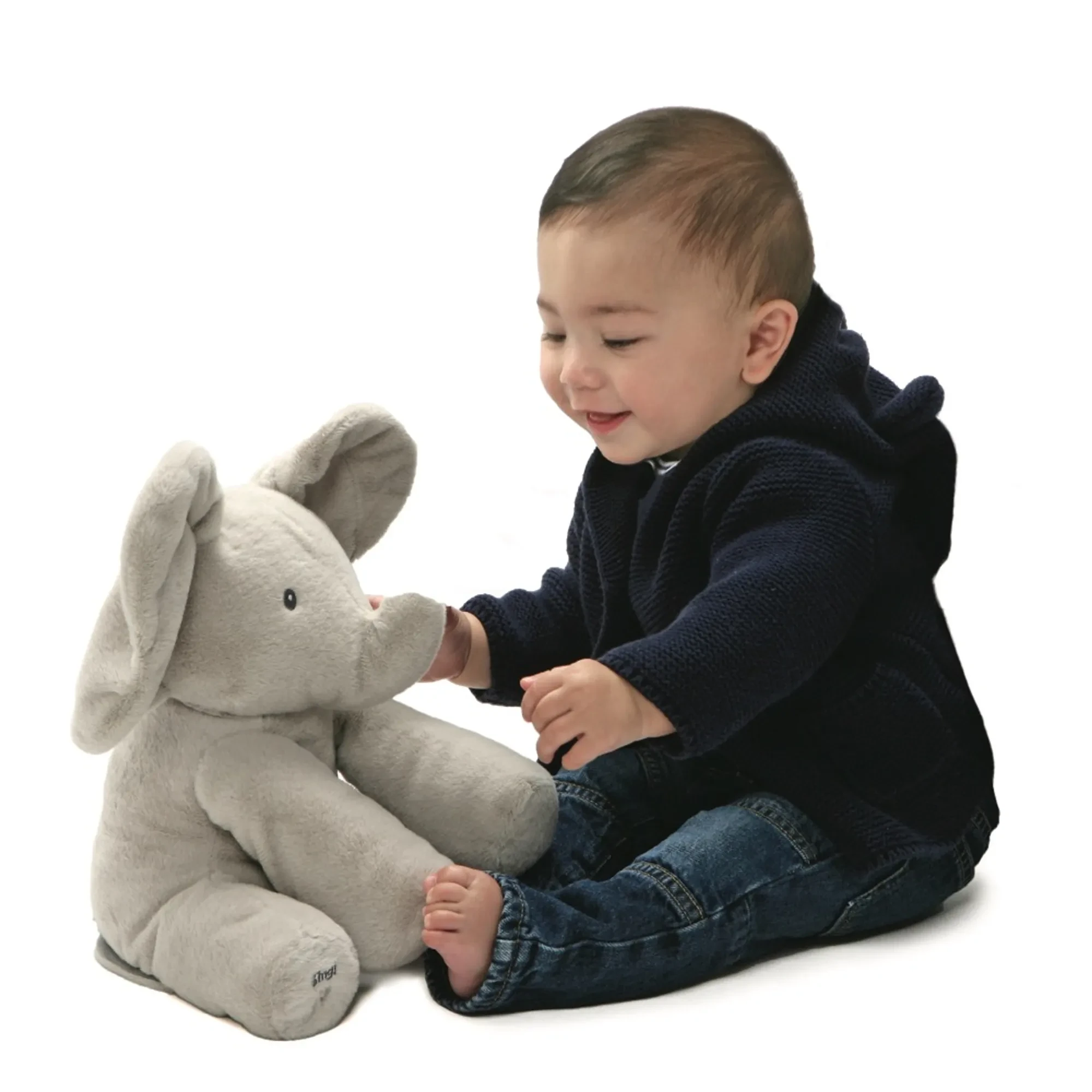 Elephant Moving Ears