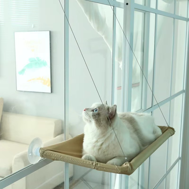 Cat window perch, cat window hammock, cat window ledge, cat window bed, cat window seat, cat window shelf, cat hammock