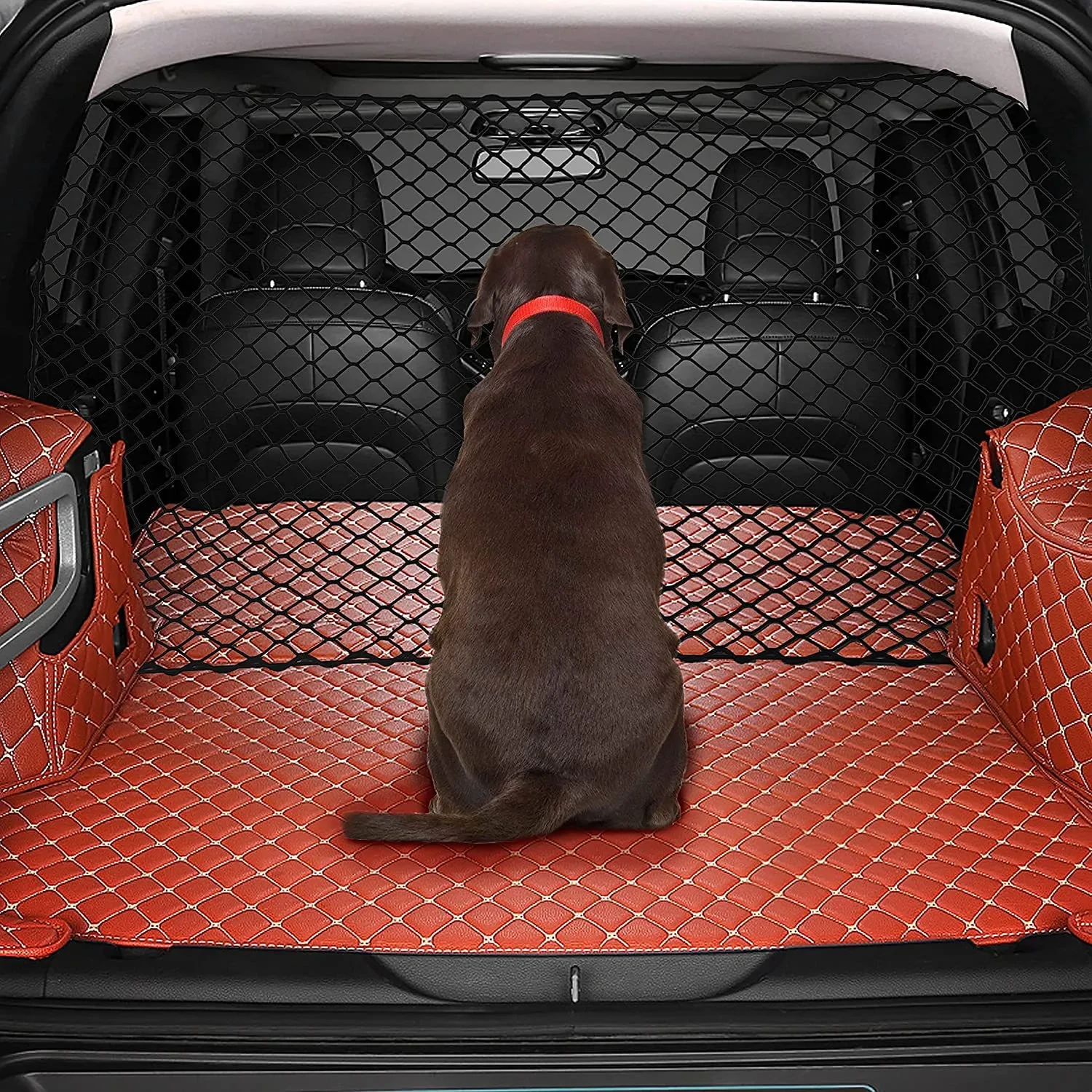 Divider for Dog in Car