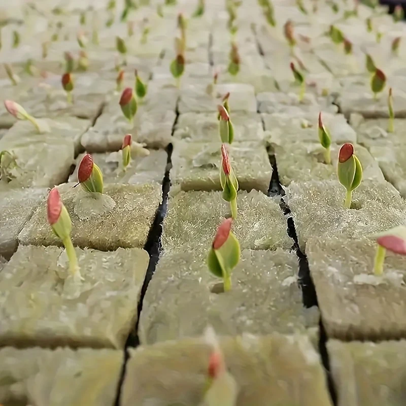 Rockwool Hydroponic Cubes