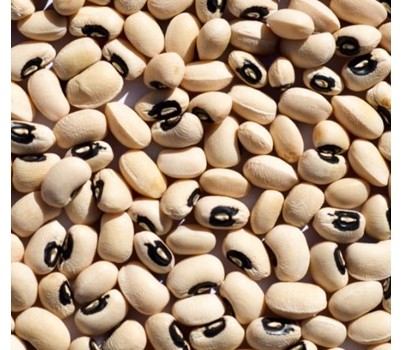 BEANS BLACK EYE 25KG