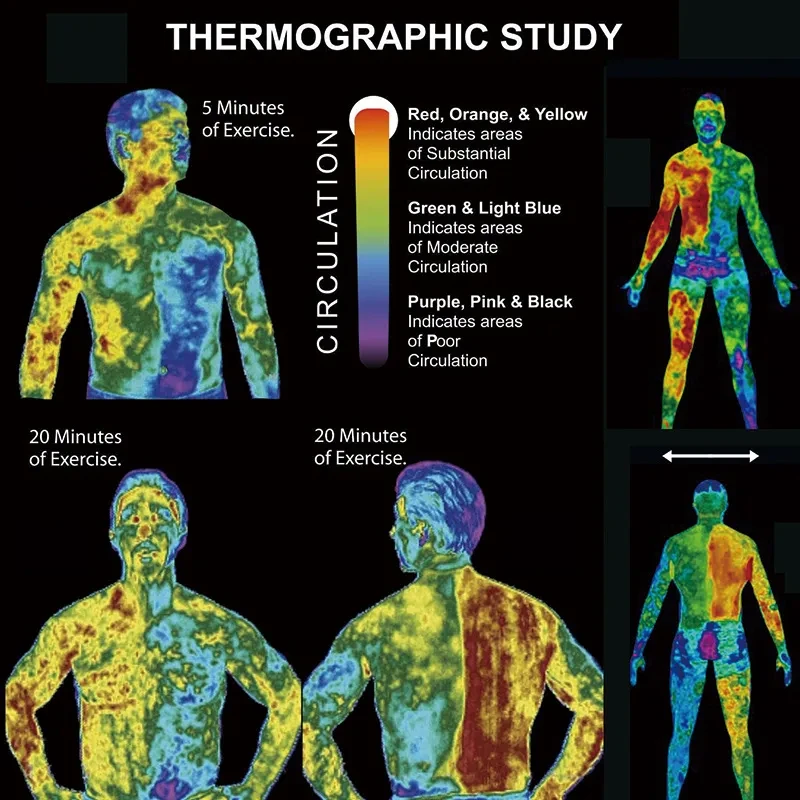 Fat burning fever cream