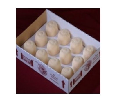 PAVLOVA MINIS HIGH RISE 12s (ELITE BH12) [FZN]