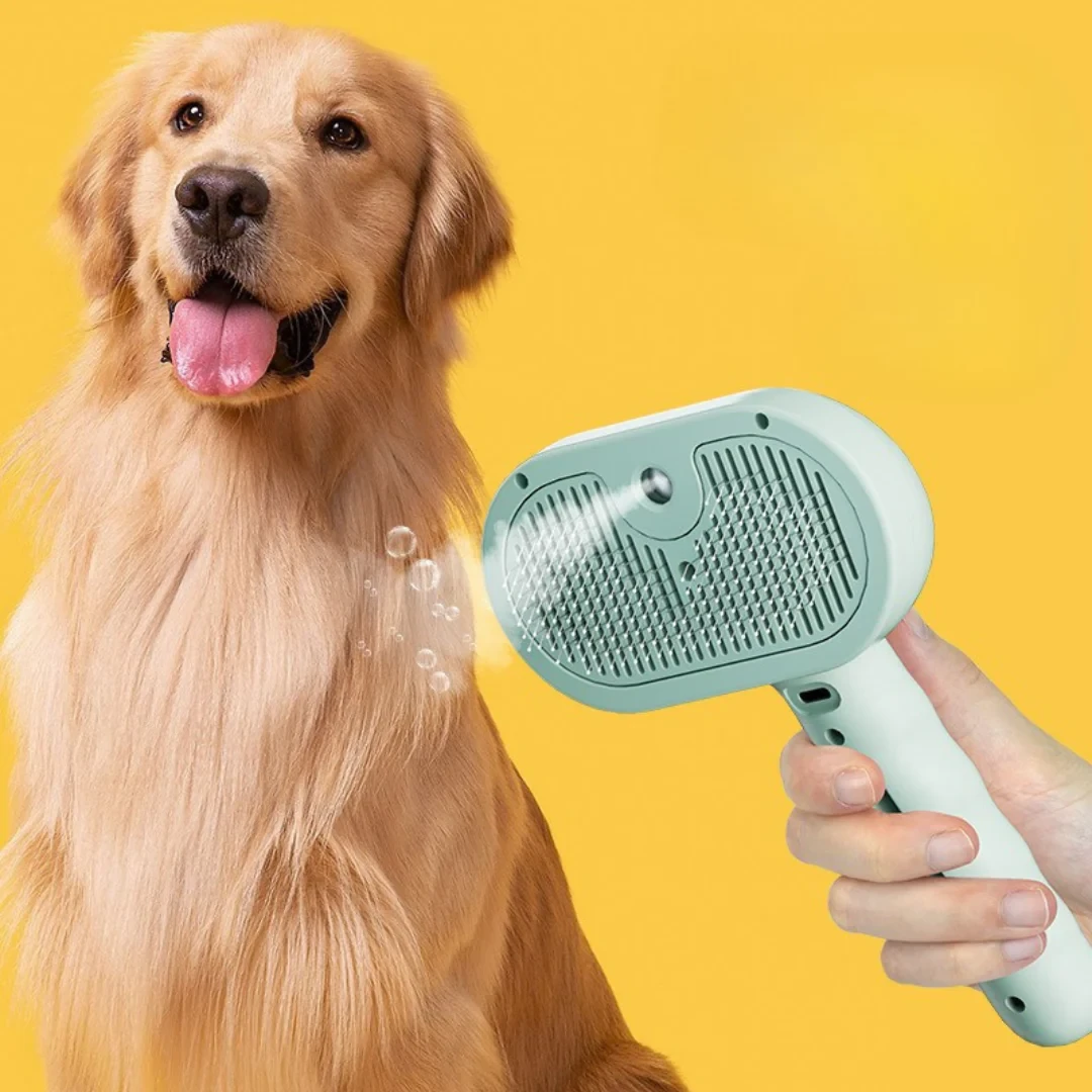 Premium pet brush with steam function