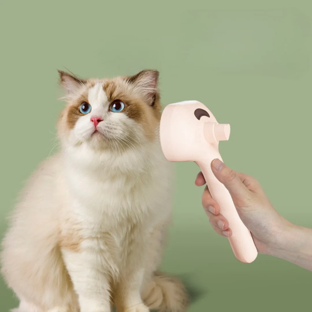 Premium pet brush with steam function