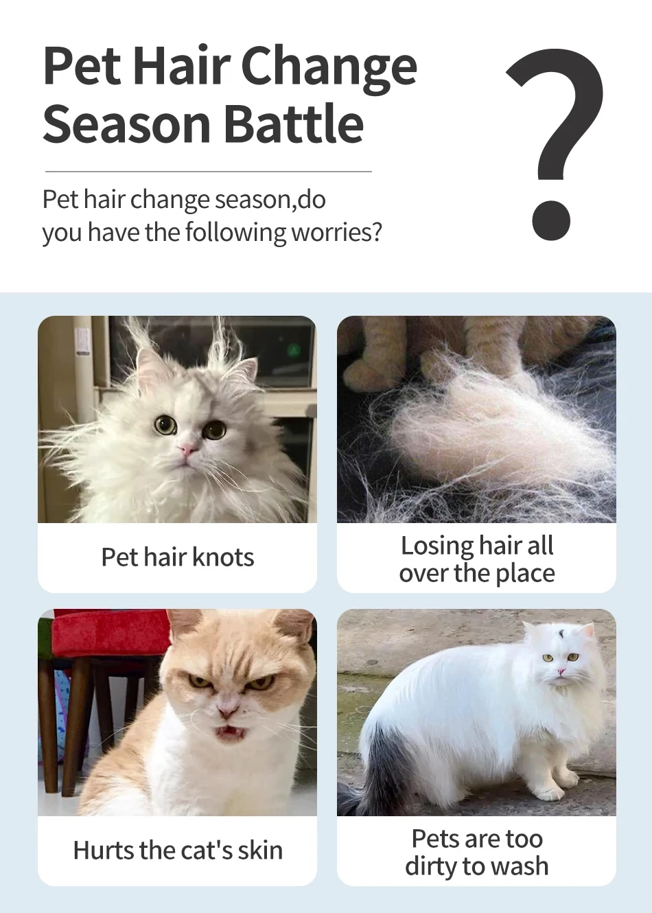 Premium pet brush with steam function