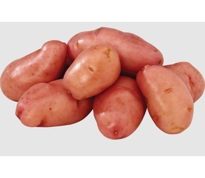 POTATO VAN ROSA/DESIREE (10KG BAG) - [PRODUCE]