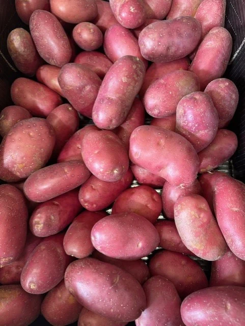POTATO VAN ROSA/DESIREE GOURMET 10KG [PRODUCE]