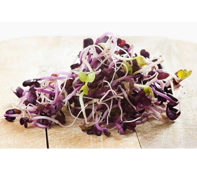 SPROUT SANGO/RED RADISH (EACH) - [PRODUCE]