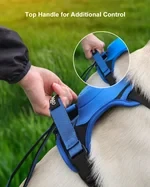 Harness and Retractable Leash Set All-in-One