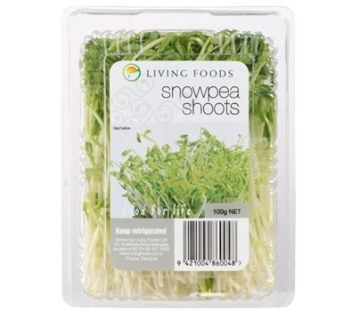 SPROUT SNOW PEA 100GM (EACH) - [PRODUCE]