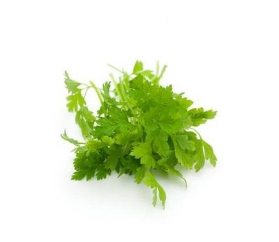 HERB CHERVIL (PER KG) - [PRODUCE]