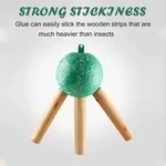 Hanging Environmental Fruit Fly Traps Sticky Traps