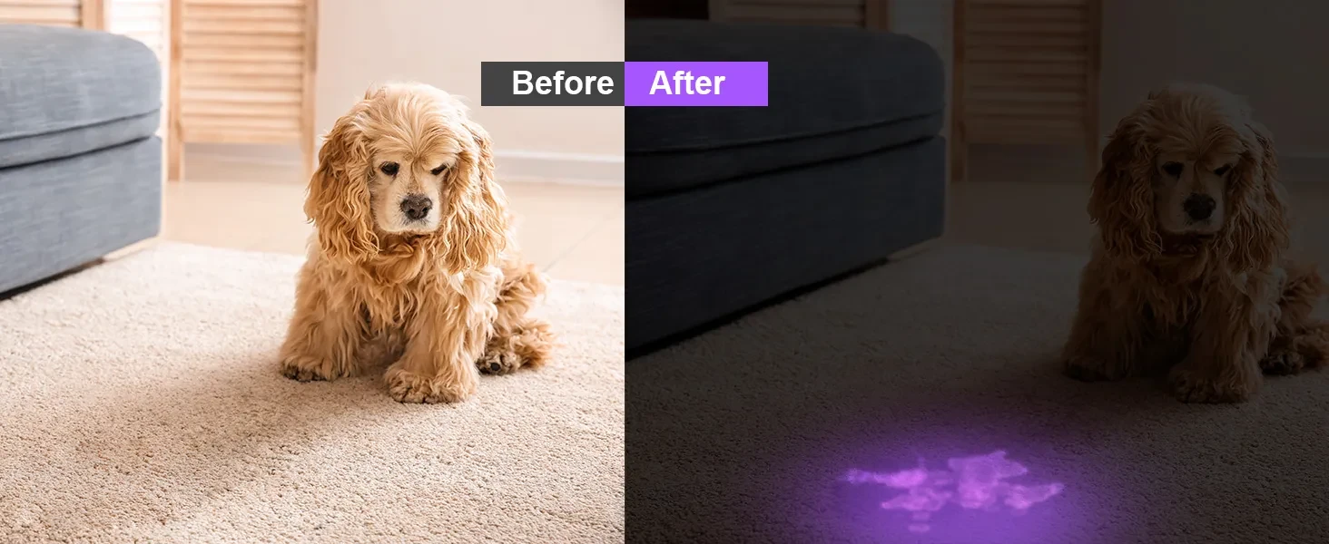 UV Flashlight LED Handheld Blacklight Flashlight Mini Light Torch Detector for Dog Pet Urine Stains, Bed Bugs, and Scorpions (Batteries Not Included)