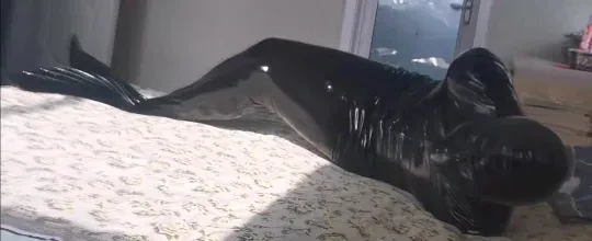 Black Stretch Leather Mummy Plus Bundle Handbag