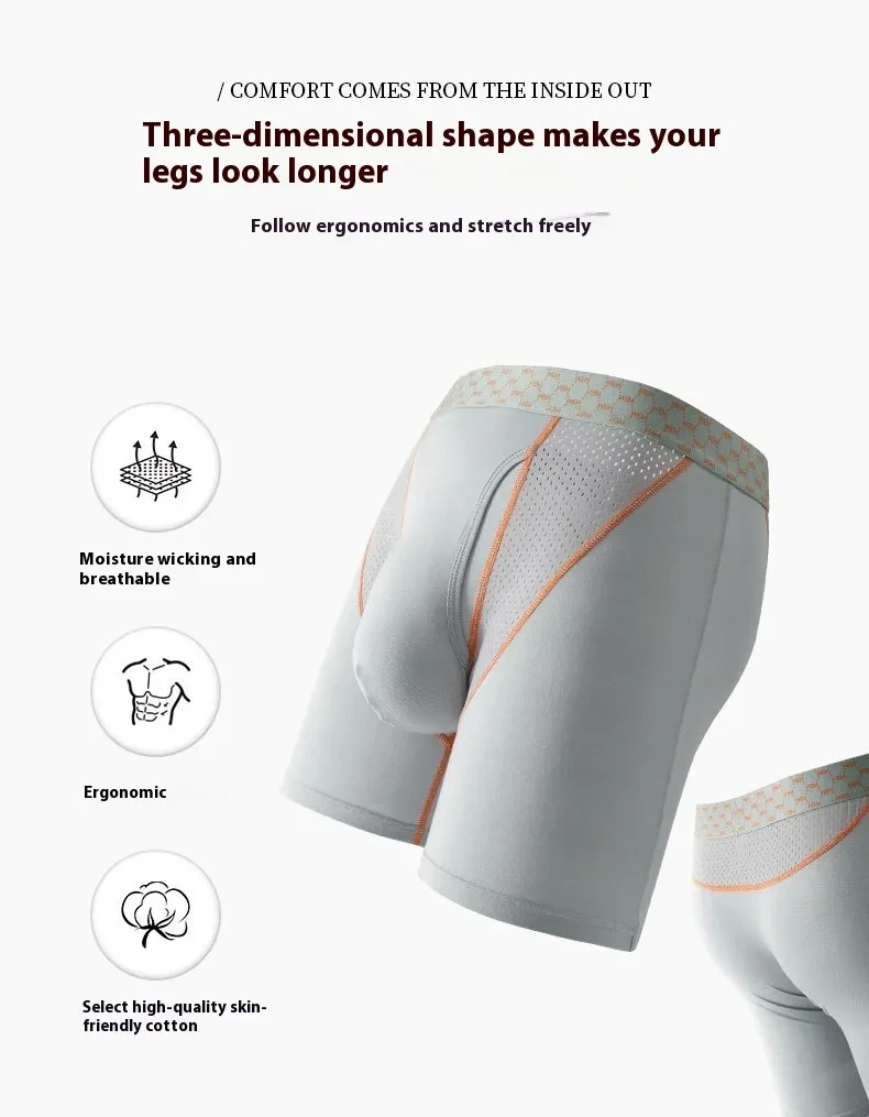 Men's Boxers Transparent Mesh Shorts