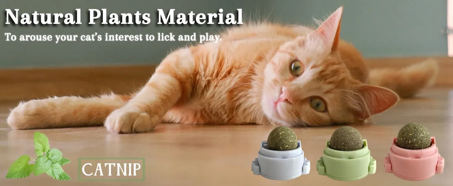 Catnip Balls That Stick on Wall