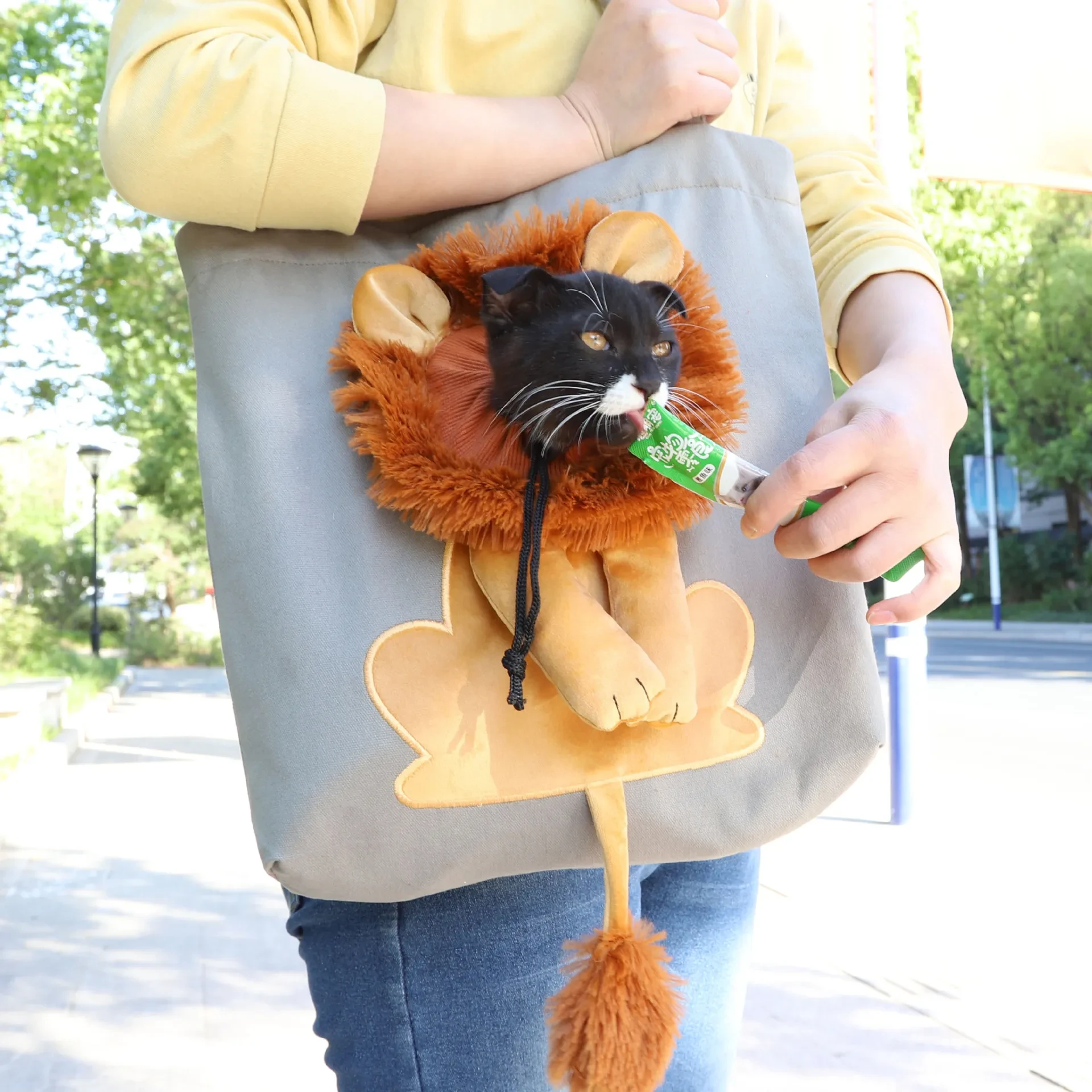 Soft Pet Carrier Lion Design,