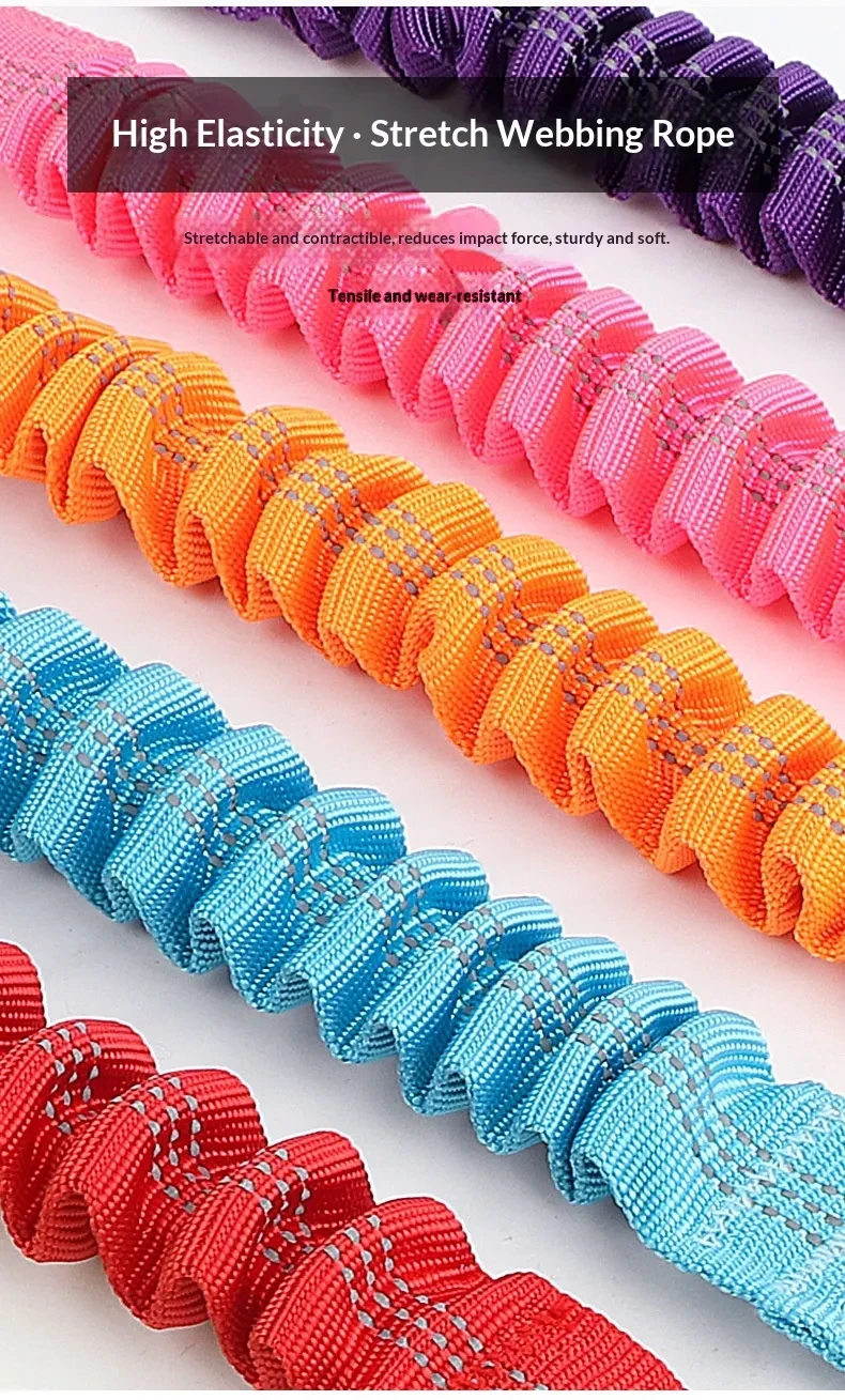 Reflective and Adjustable Elastic Dog Leash