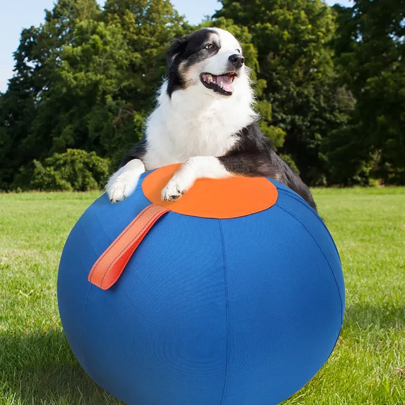 Original Herding Ball