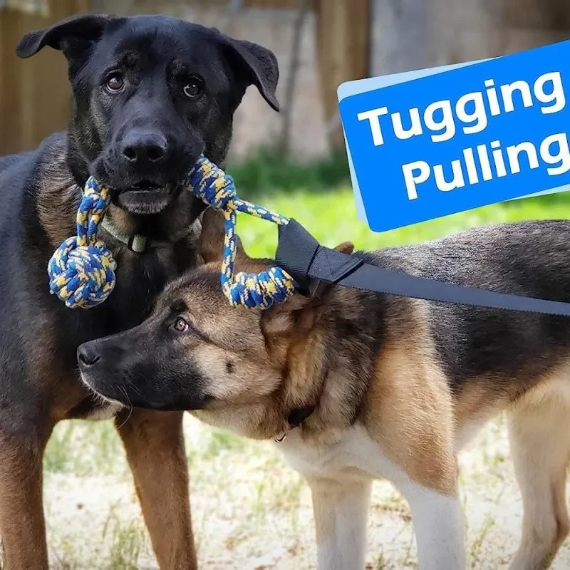 Bungee Tug Toy